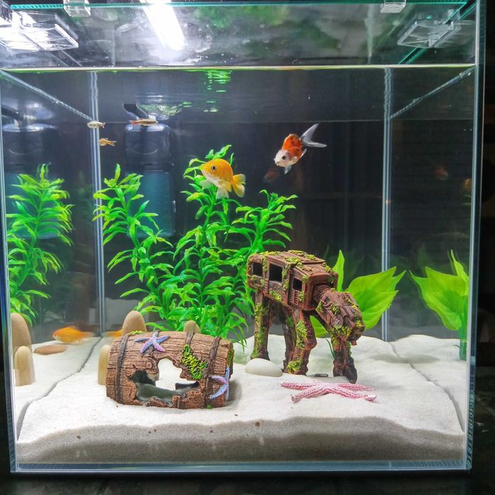 Aquário blau cubic 42l