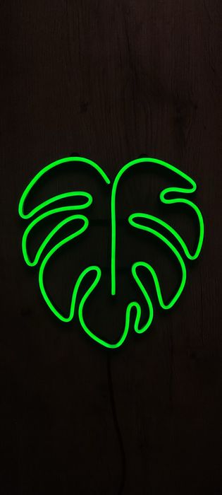 Neon LED - monstera + zasilacz + sterownik