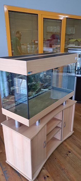 Vendo esses aquários novos
