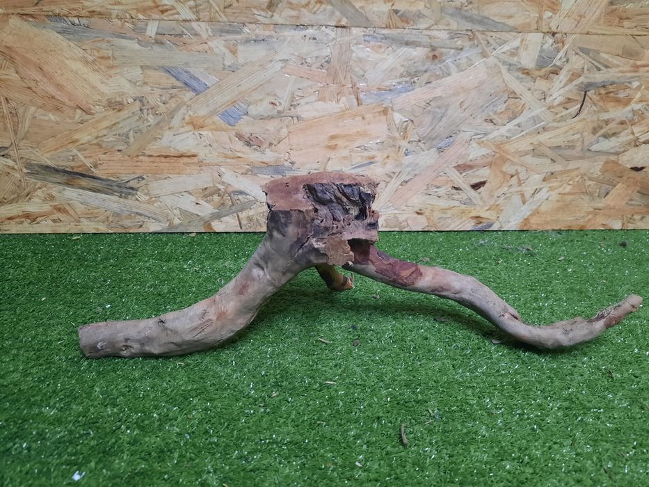 Korzeń do akwarium Red Moore Wood nr 888 o wymiarach 40/16/16