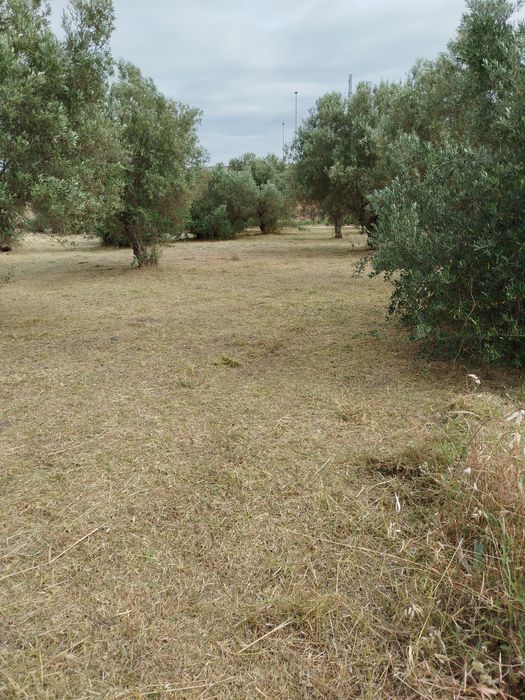 Limpeza de terrenos e jardins