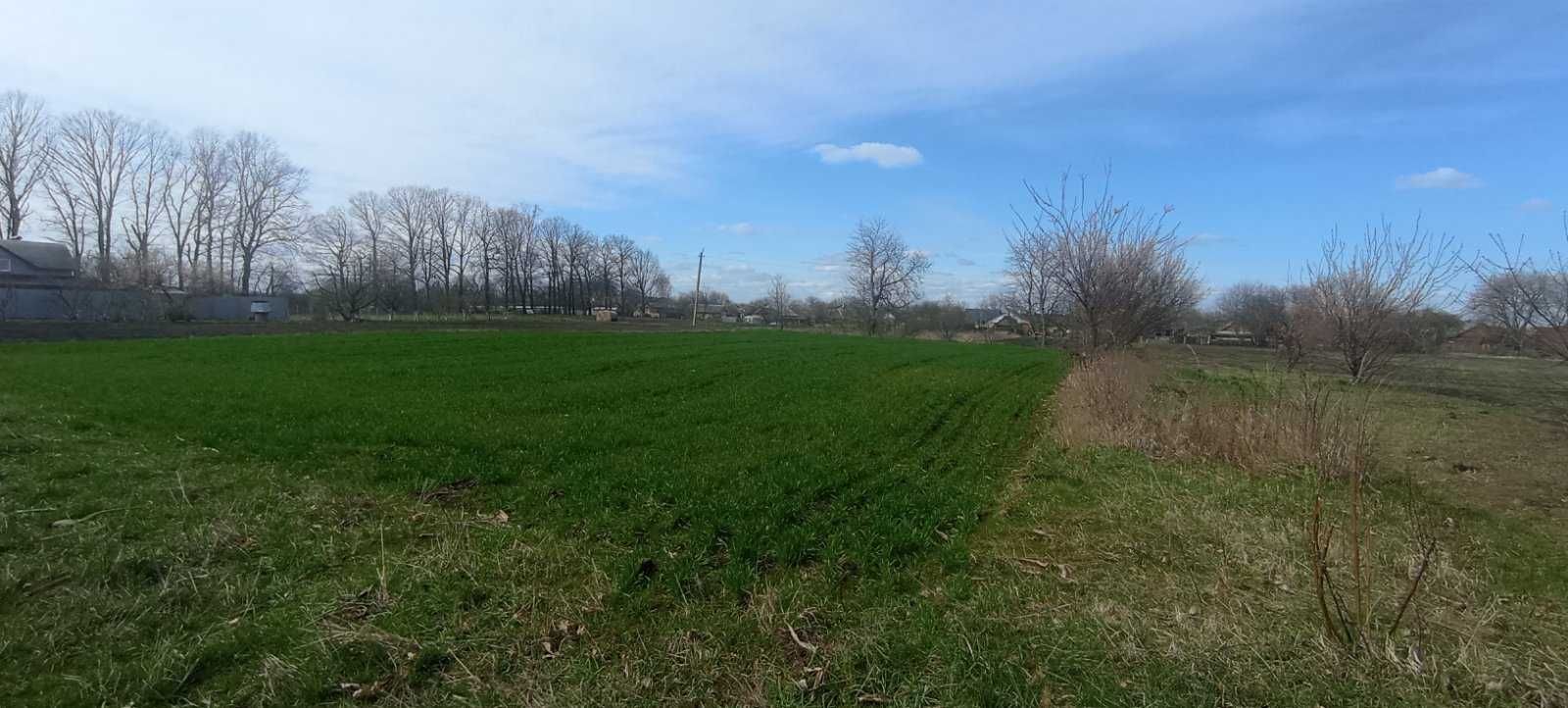 (8) Продам земельну ділянку в Стадниці 9890