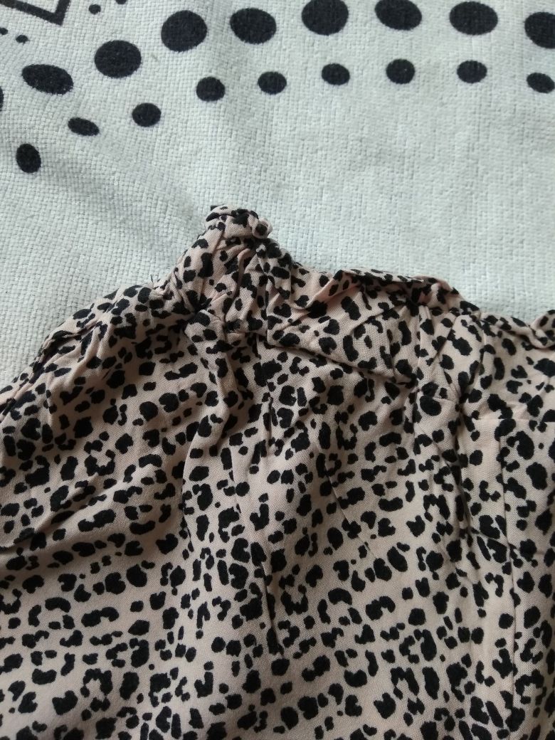 Spodenki szorty panterka centki 116 Primark