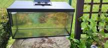 Akwarium Aquael  60x30