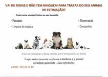 Guarda de animais ao domicilio - petsitting, dog walking