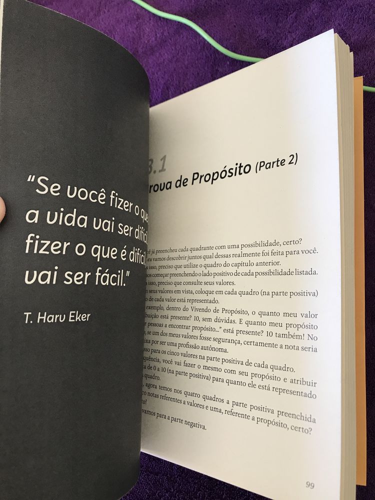 Livro Vivendo de Propósito