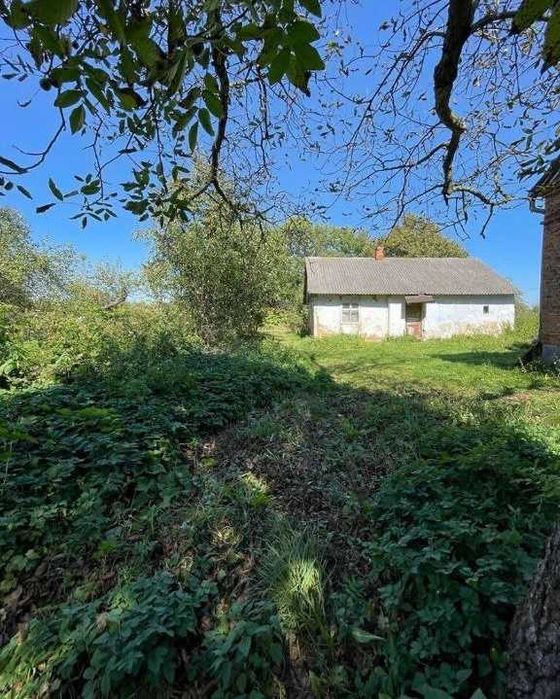 Продаж будинку з великою земельною ділянкою,село Любовичі.Без комісії!