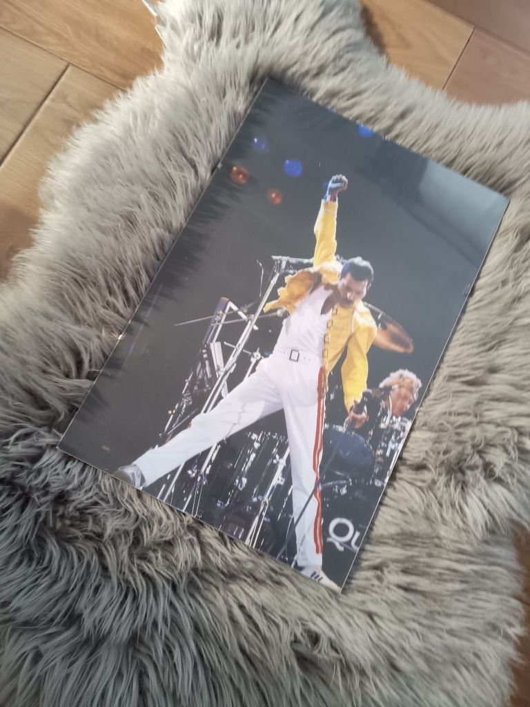 Obraz płótno plakat w antyramie Freddie Mercury Queen