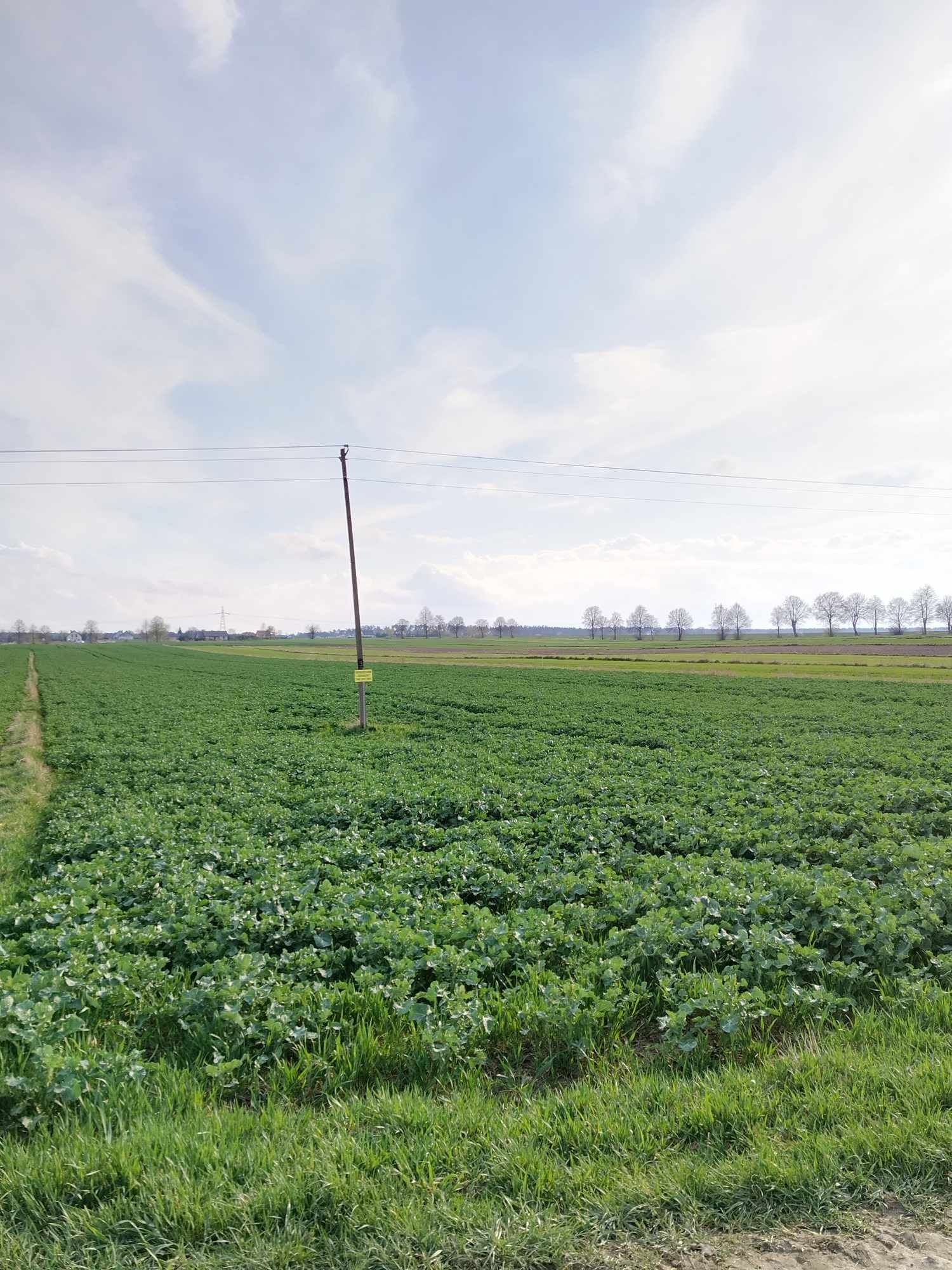 Atrakcyjne działki w miejscowości Wilczopole-Kolonia gm. Głusk