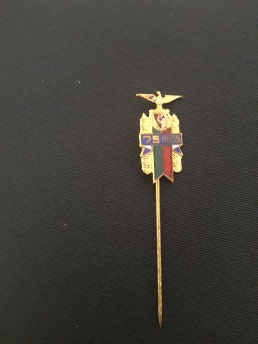 Pin alfinete SLBenfica antigo 75 anos  , raridade
