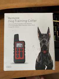 Akcesoria szkoleniowe dla psów
