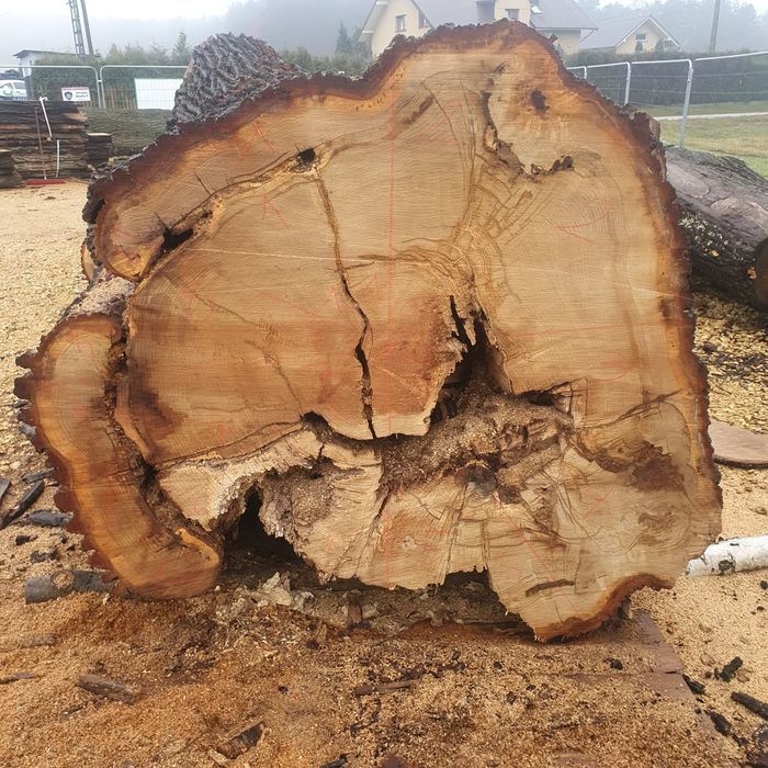 Plastry drewna na stoliki kawowe