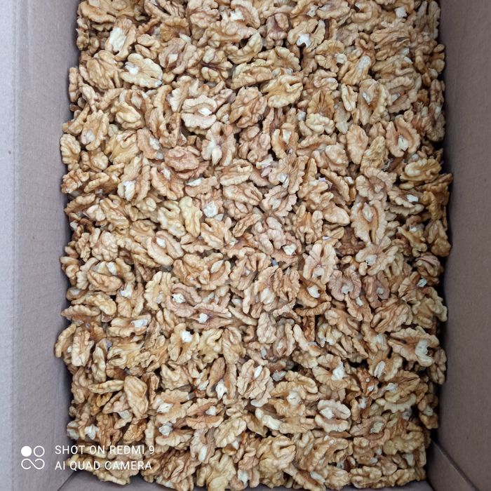 Продам Горіхи грецькі биті