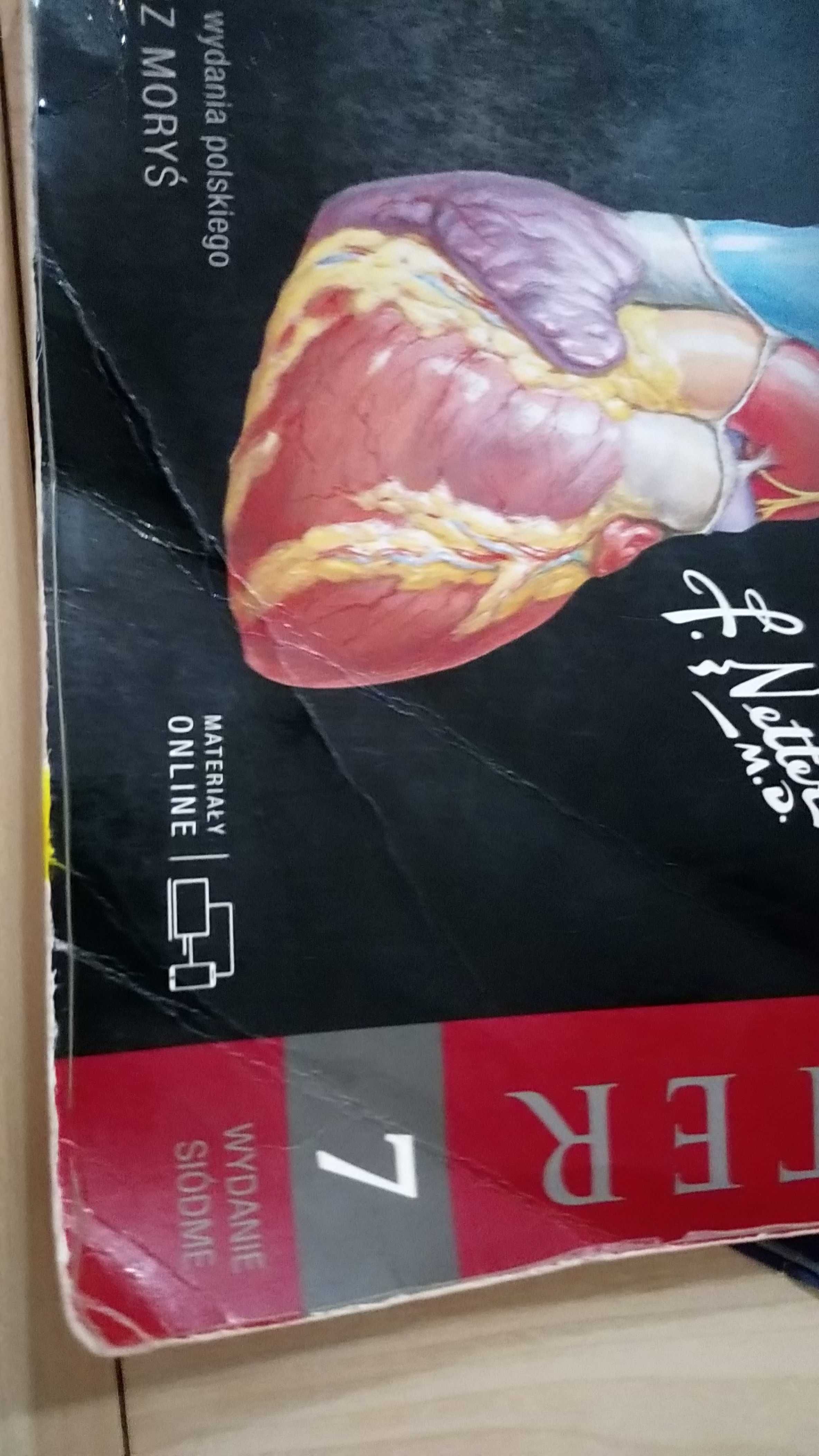 Atlas anatomii nettera wydanie 7