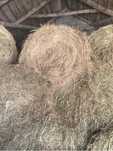 Siano w belach 120x120
