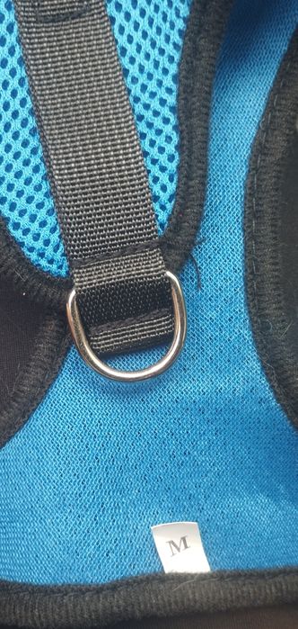 Arnês com trela gato