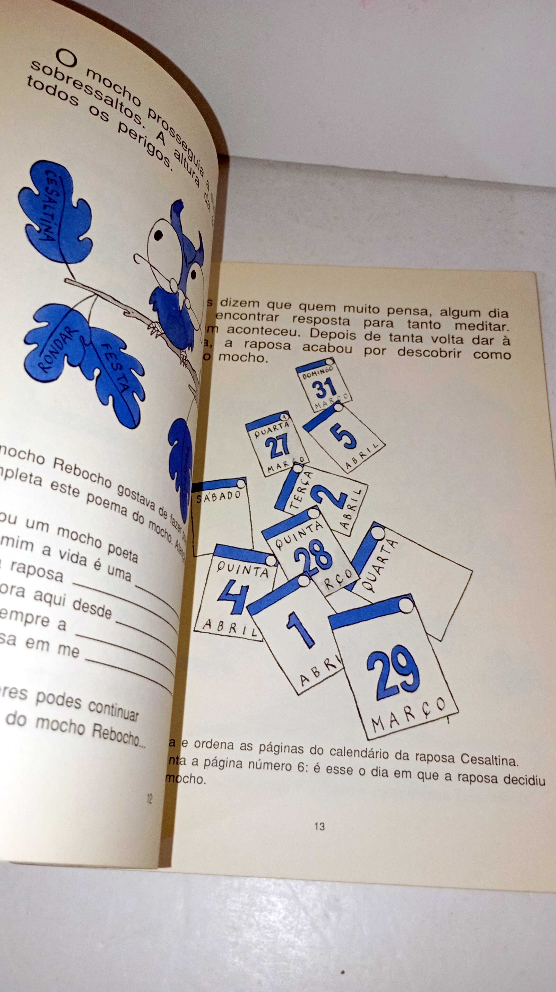 O Mocho e a Raposa