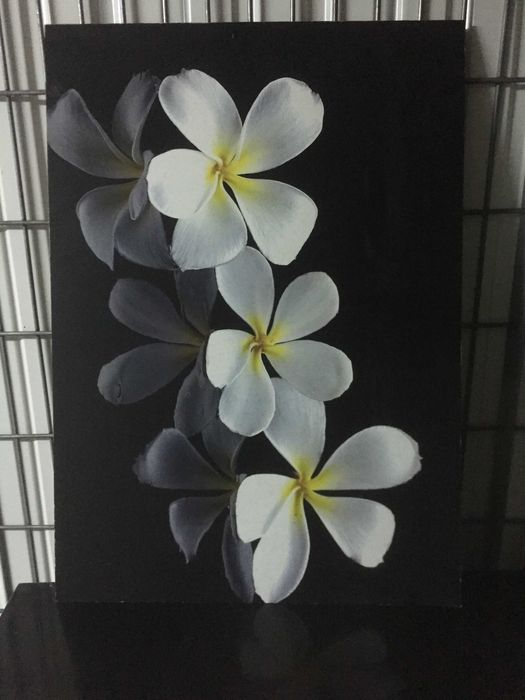 Quadro com flores