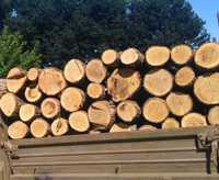 Купить дрова из дуба, березы и ольхи. Метровые, колотые.