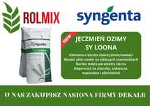 Jęczmień ozimy hybrydowy SY LOONA Materiał kwalifikowany