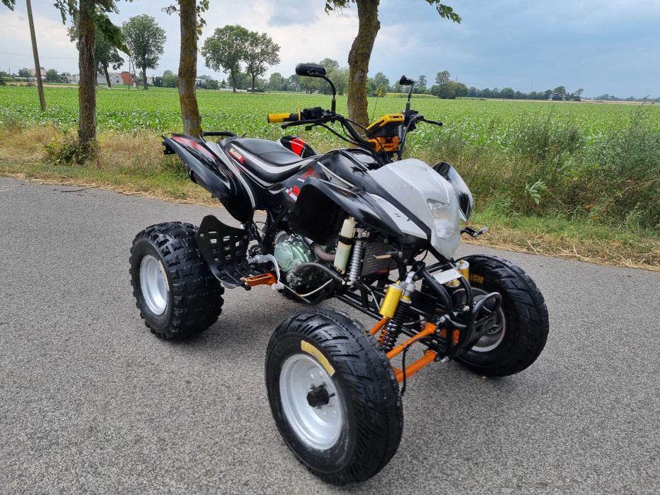 Quad Bashan Blizzer 200/250cc 4+1r Ciecz ZAREJESTROWANY !