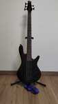 Ibanez GSR205B WNF