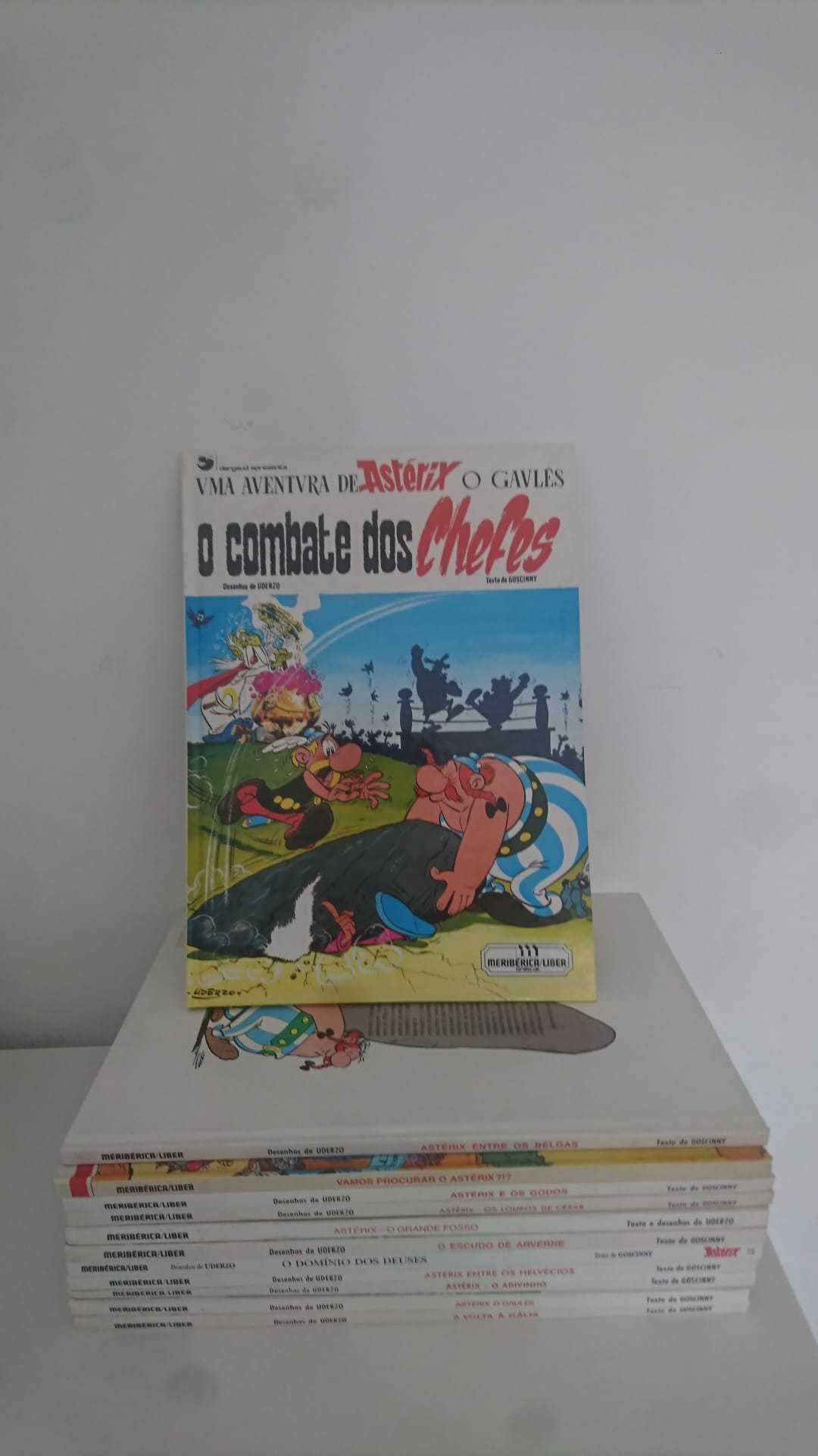 13 livros As aventuras de Asterix - Coleção antiga dos anos  90