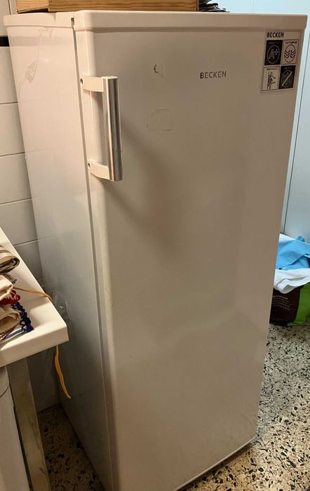 Arca congeladora vertical usada