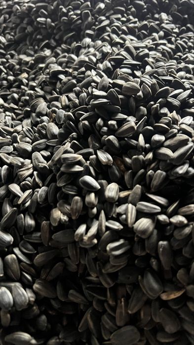 Насіння соняшника Посоняшник/Сємечки