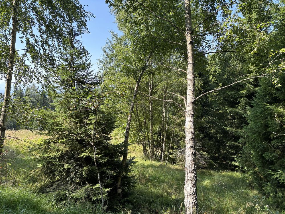 Dzialka rolna z dojazdem i widokiem na Tatry