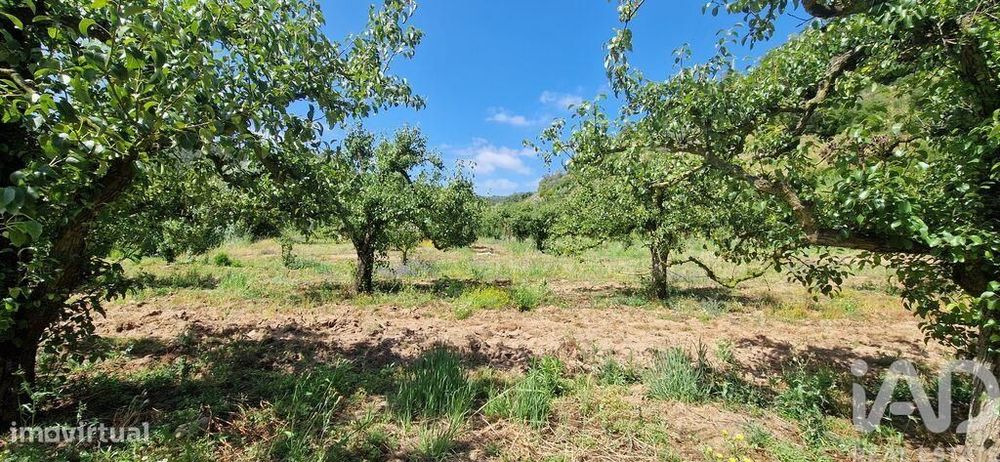 Terreno em Azueira e Sobral da Abelheira de 7812,00 m2