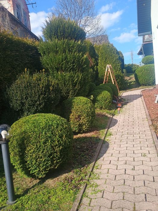 Wycinka drzew, formowanie krzewów i żywopłotów, koszenia