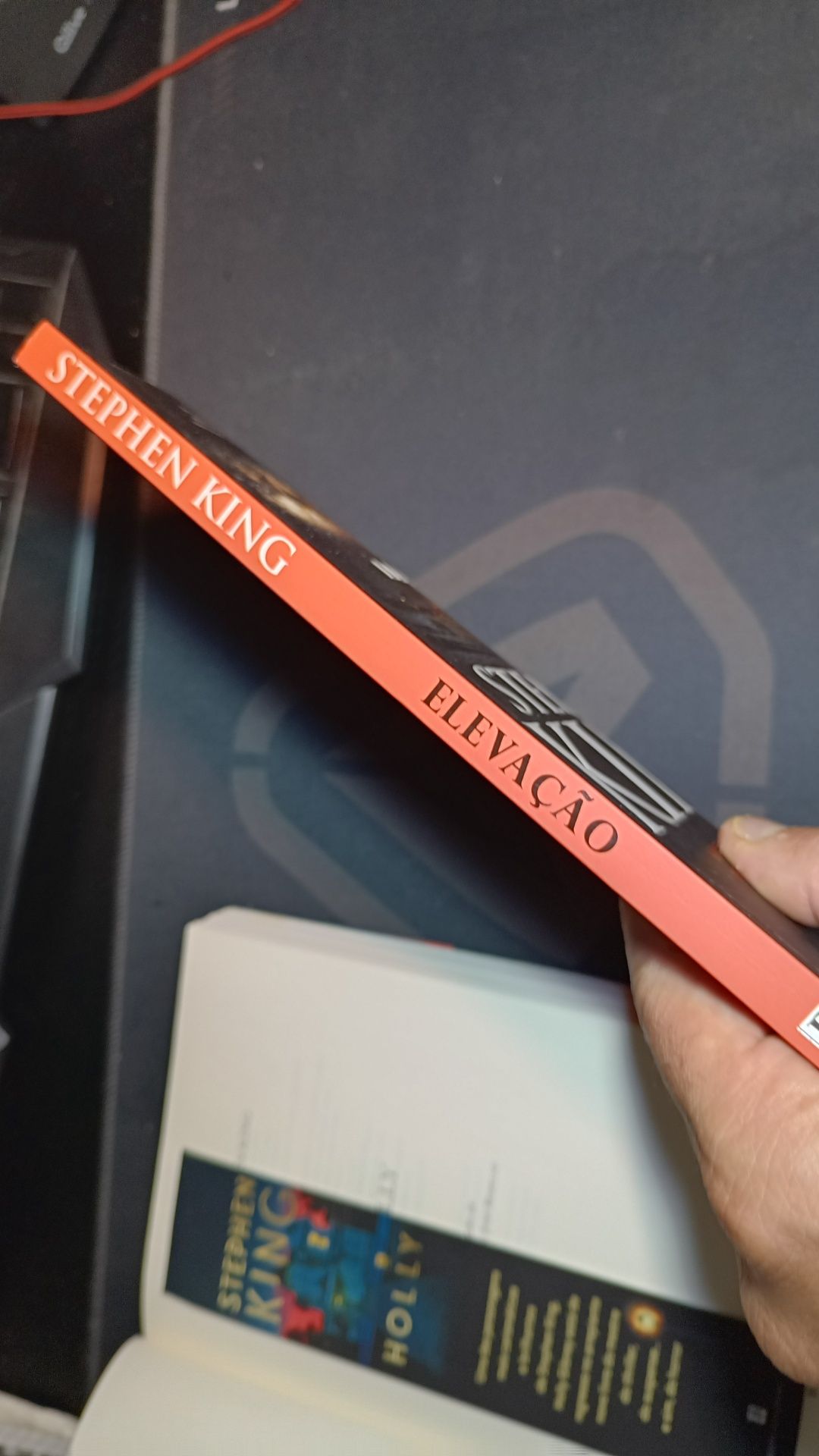Stephen King_2 livros