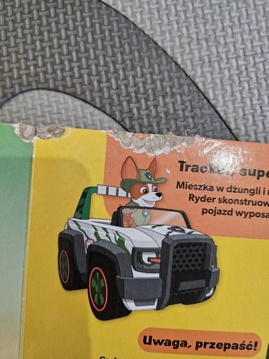 Ksiazka psi patrol paw patrol poznaj moj swiat w świecie psiego patrol