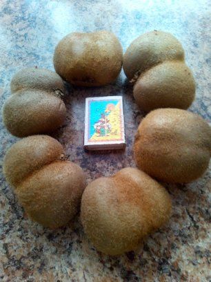 Персик Груша Яблуня Черешня Вишня Абрикоса Азиміна Ківі Магнолії Піони