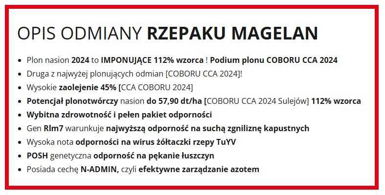 Rzepak Ozimy MAGELAN - Imponujący Plon - Nasiona Rzepaku IGP
