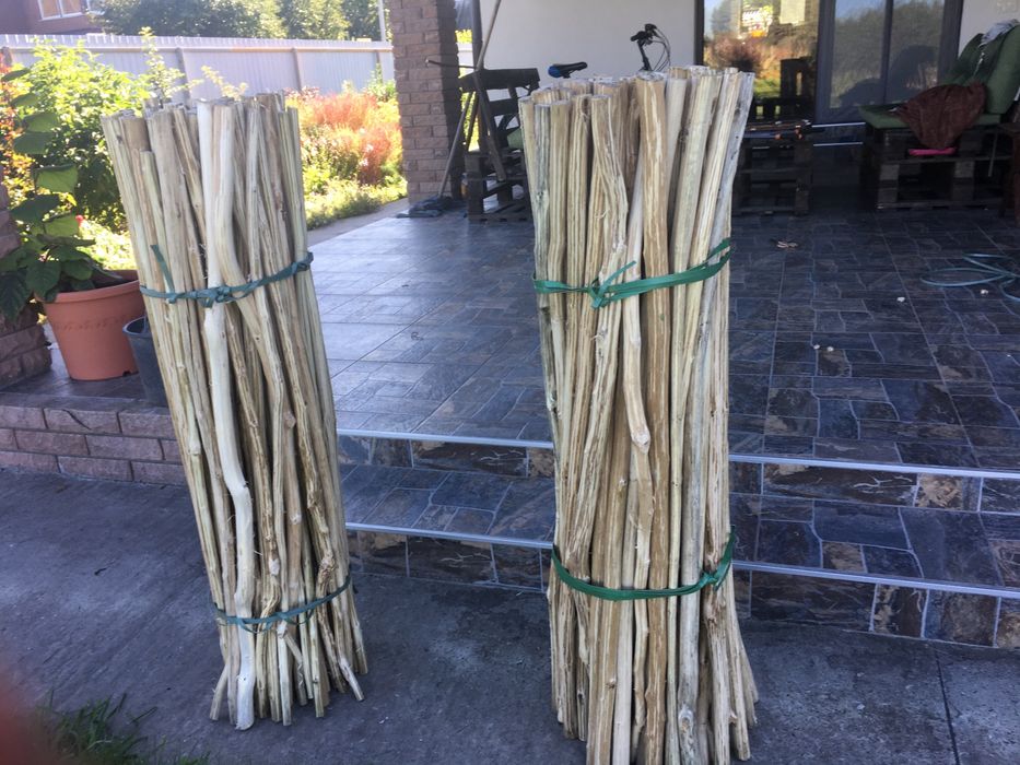 Гілки чищені ,дуб,вишня,верба,слива,алича,яблуня.