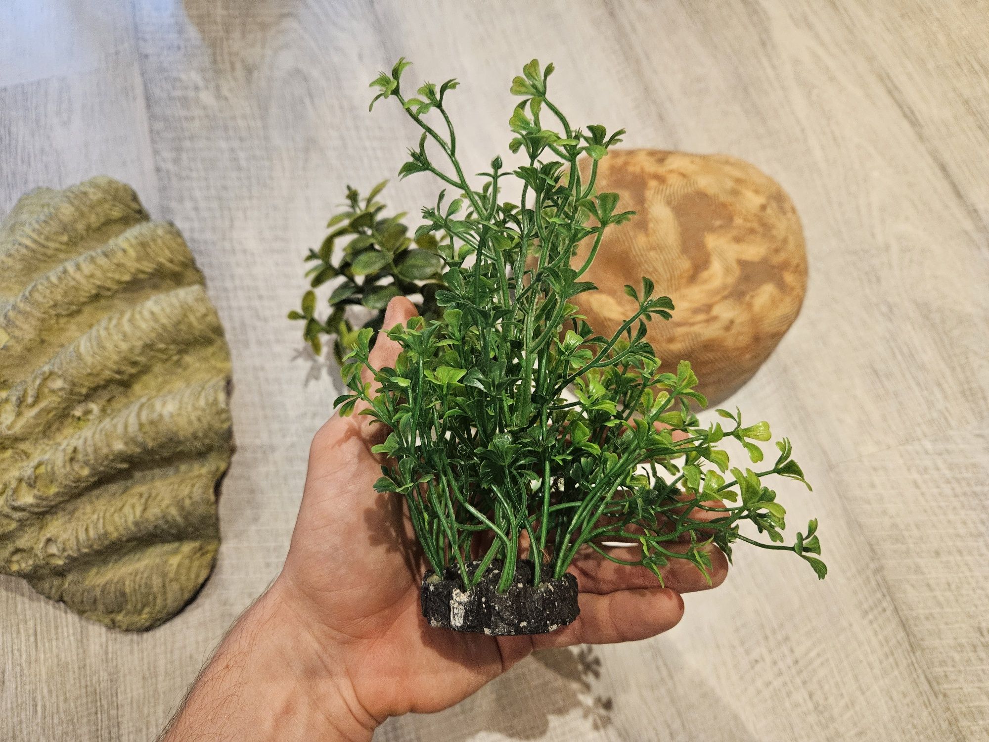 Dekoracje do terarium