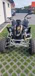 Can-Am DS Can am ds450