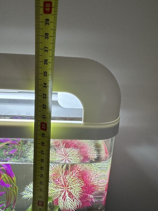 Akwarium wraz z zawaroscią