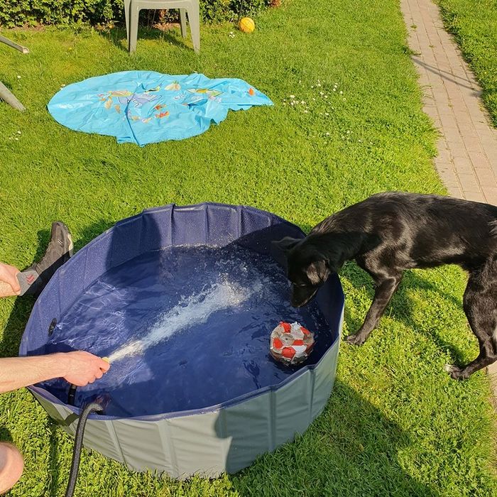 Basen Dla Psa Zwierząt Duży Składany Ogrodowy Do Ochłody Mycia Xxl 100