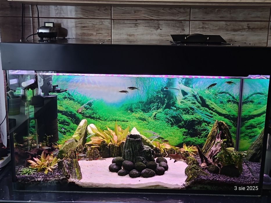 Akwarium 250l 100x50x50