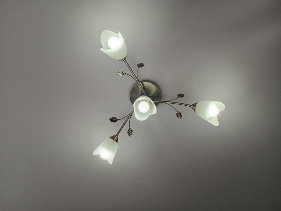 Żyrandol lampa tulipany