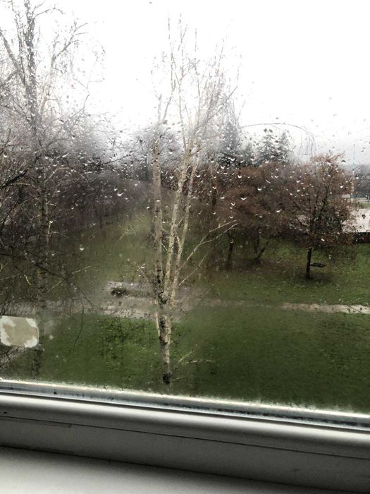 Здам 1-кімнатну квартиру в центрі Баришівки