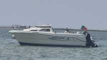 Quicksilver 450, Motor Mercury 40HP 2 Tempos