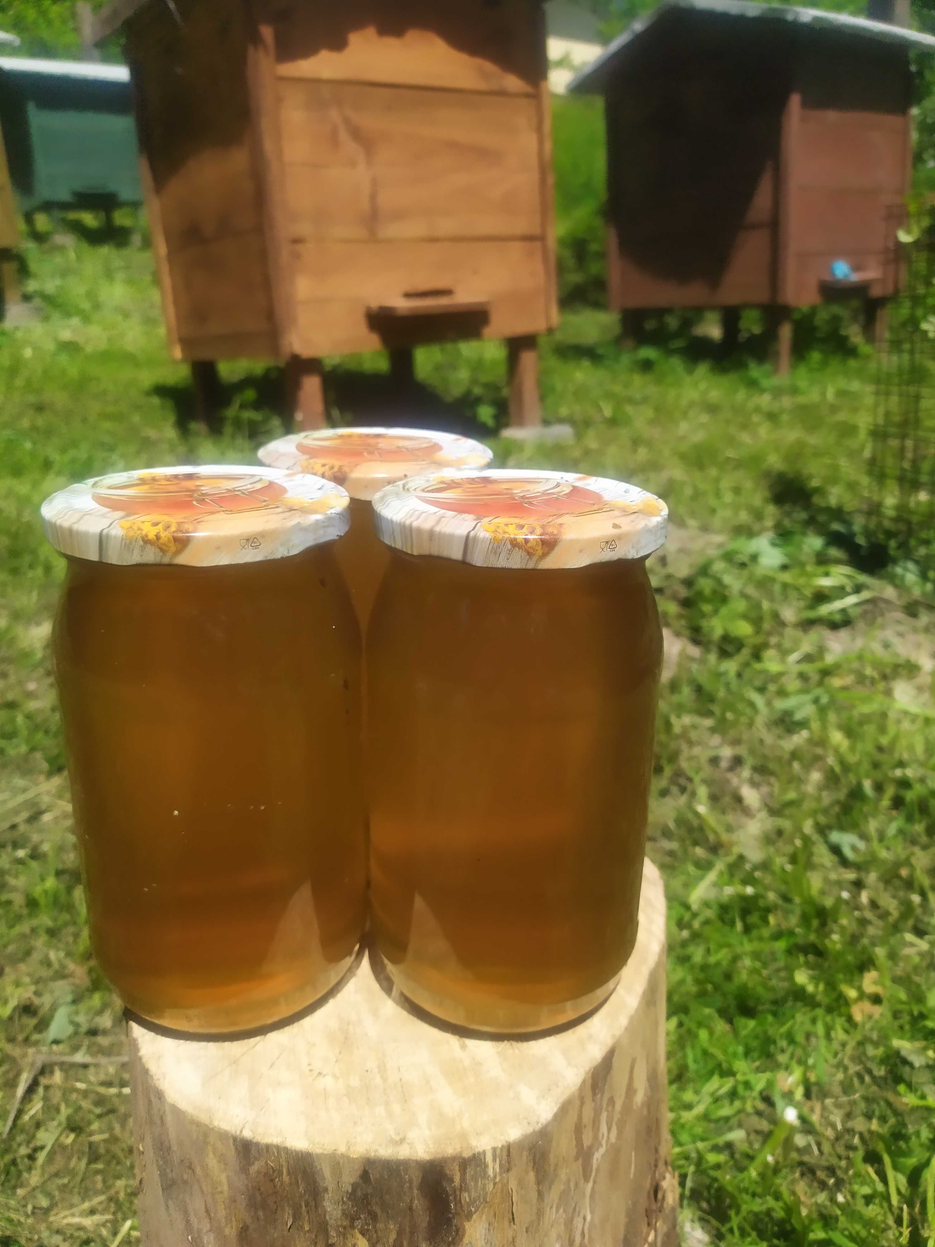 Miód pszczeli wielokwiatowy naturalny