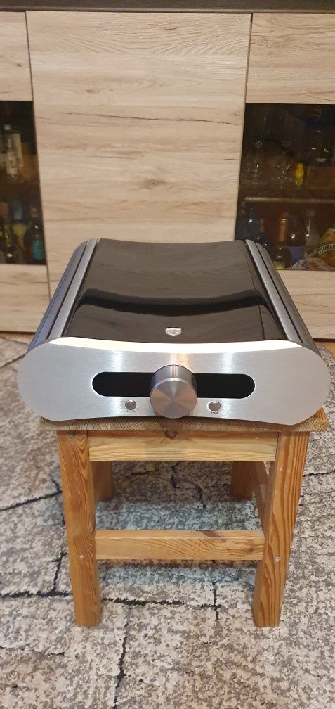 Gato Audio DIA 250