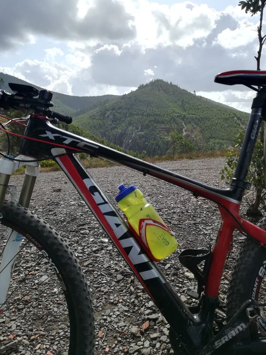 BTT Giant Carbono 29