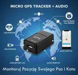 Śledź swojego psa lub kota - GPS
