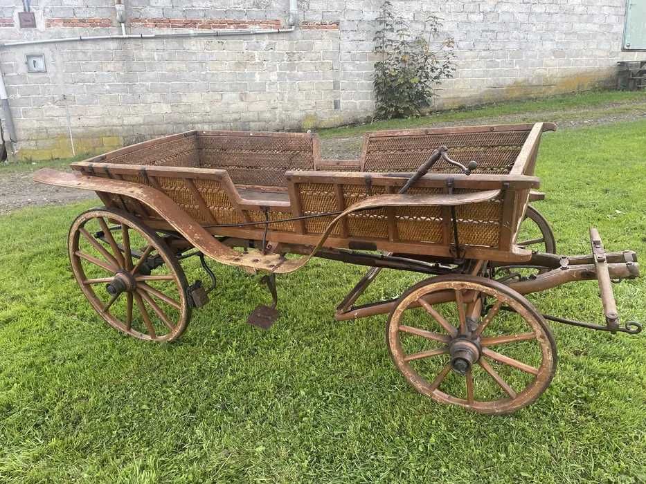 Bryczka Krakowska Wasag